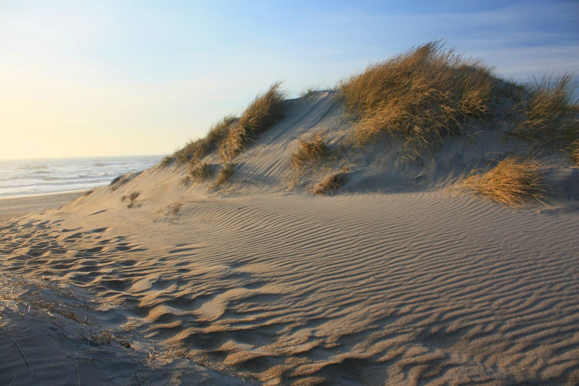 Nordsee Dünen