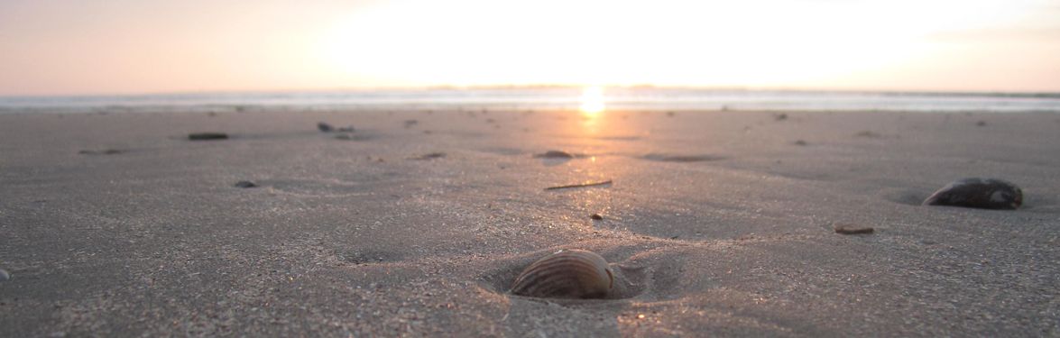 Sonnenuntergang Niedersächsische Nordsee